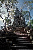 Angkor Thom - Prah Palilay temple surrounded by trees